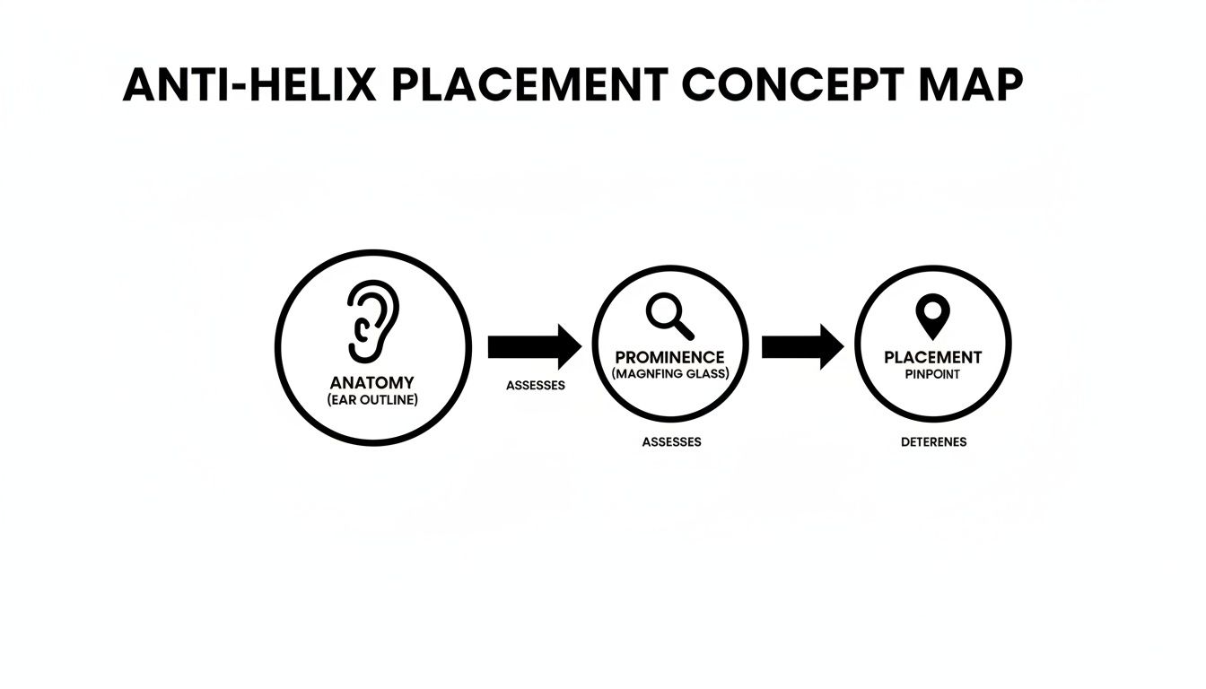 A concept map outlines anti-helix placement, showing steps for anatomy assessment, prominence, and pinpointing.