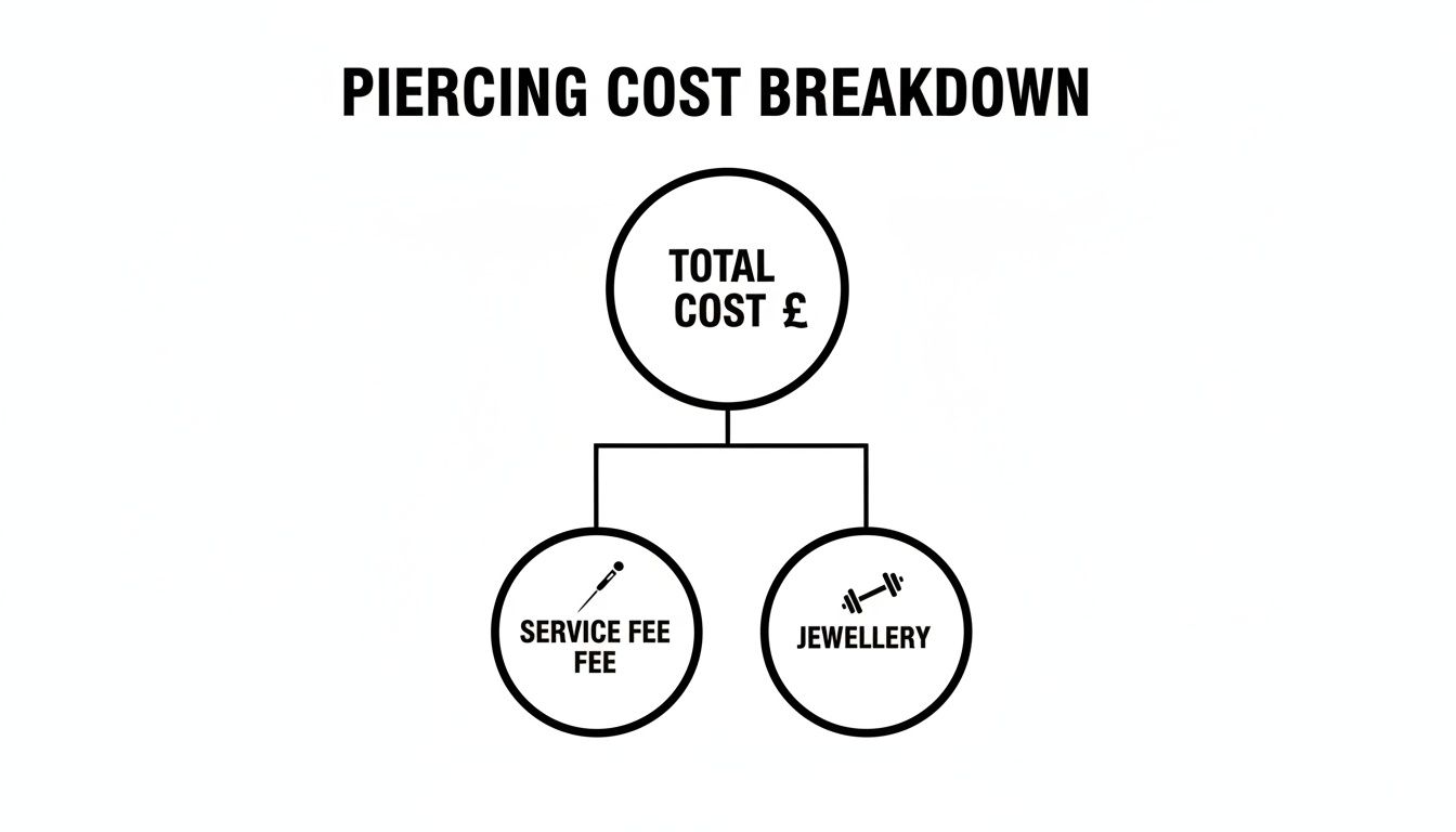 Flowchart illustrating the breakdown of piercing costs into service fees and jewellery.