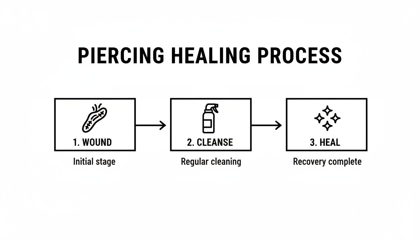 A diagram illustrating the three-step piercing healing process: initial wound, regular cleansing, and complete recovery.