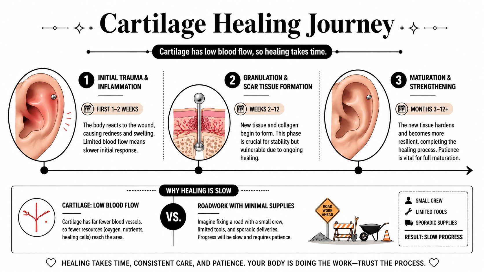 An infographic showing the three stages of cartilage piercing healing and why the process is slow.
