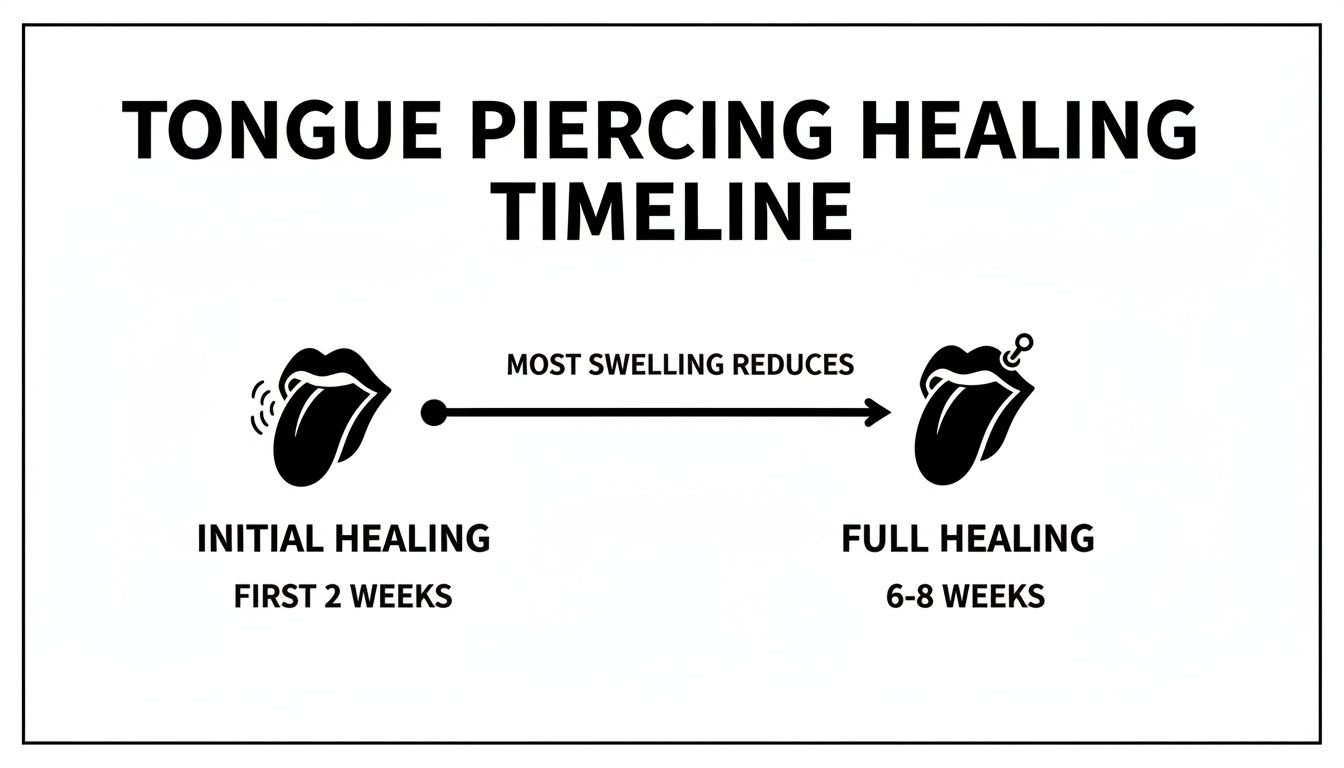 A timeline diagram illustrating the healing process of a tongue piercing, from initial swelling to full recovery.