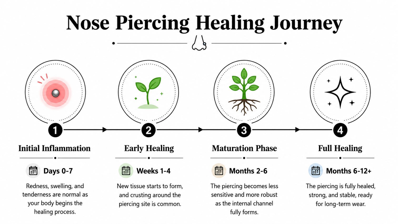 An infographic showing the four stages of a nose piercing healing journey from inflammation to full recovery.