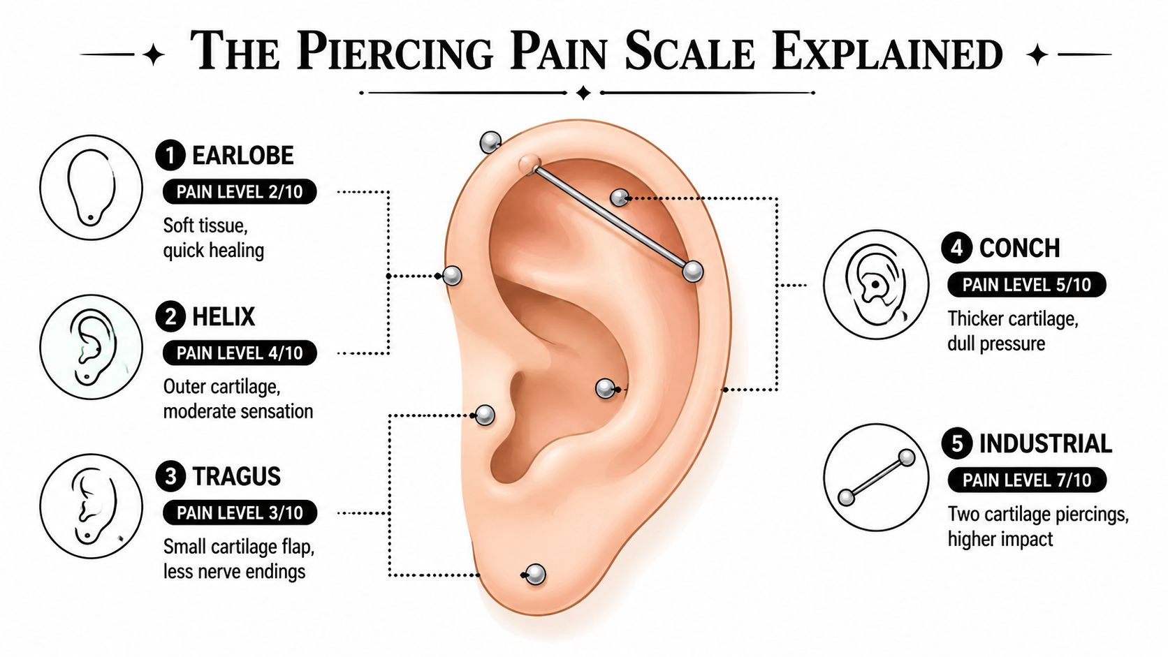 A visual guide titled The Piercing Pain Scale Explained showing different ear piercings and pain levels.
