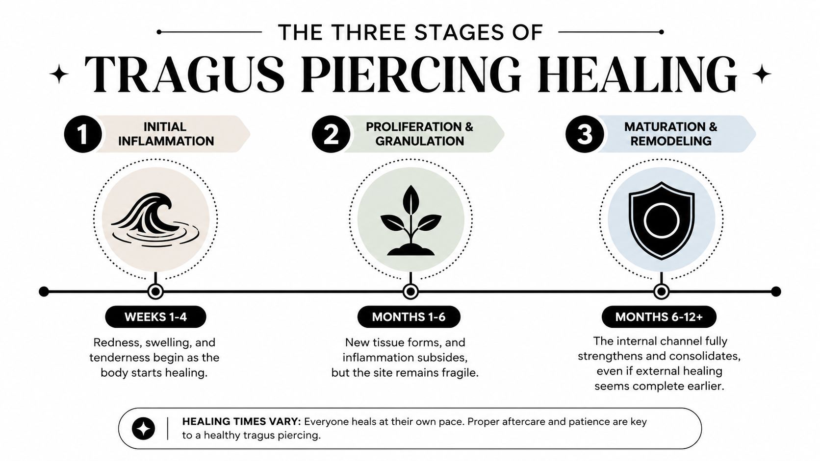 An infographic detailing the three stages of tragus piercing healing with timeframes and descriptions for each phase.