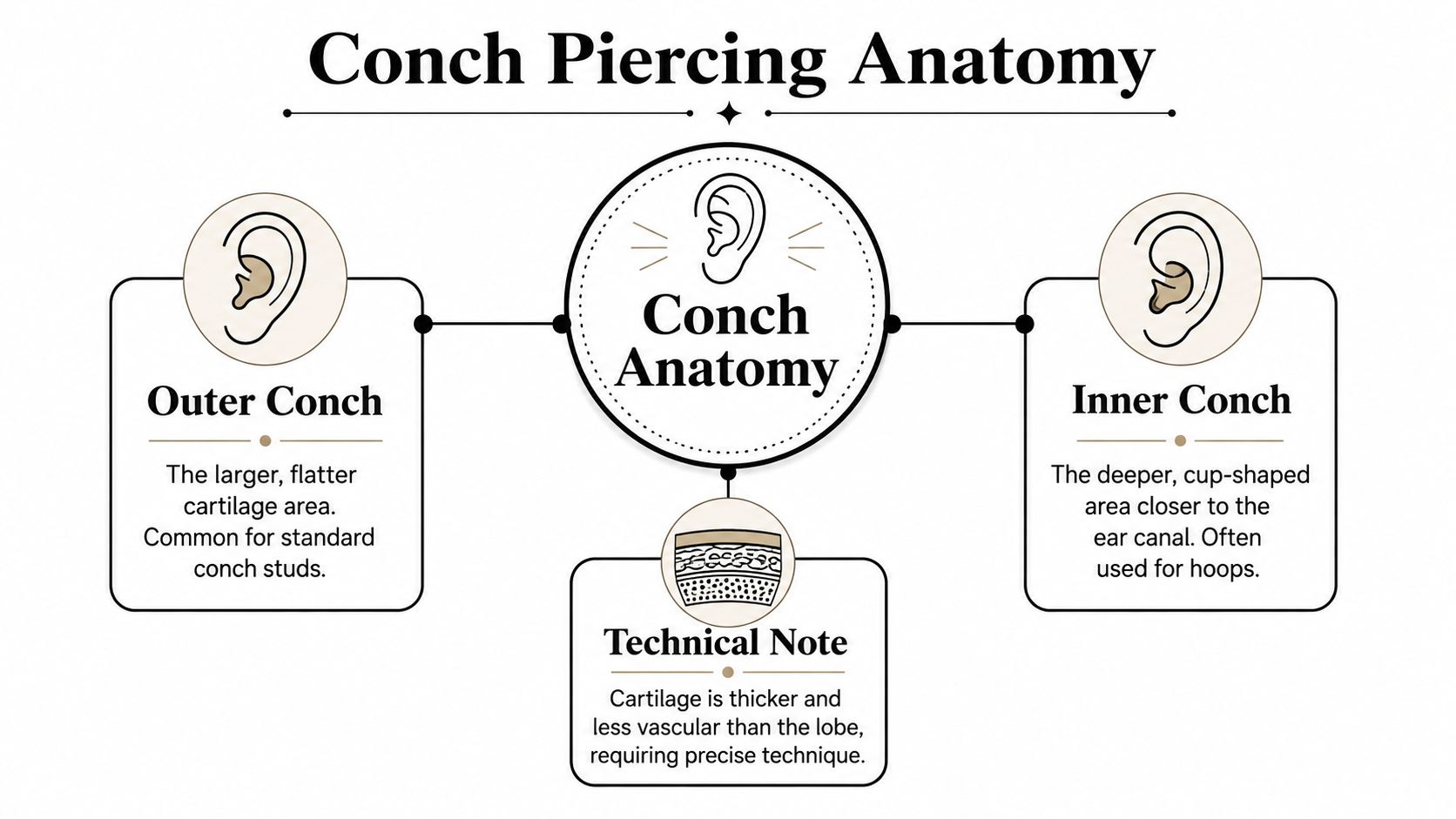 An educational infographic illustrating the anatomy of the outer and inner conch areas for ear piercings.