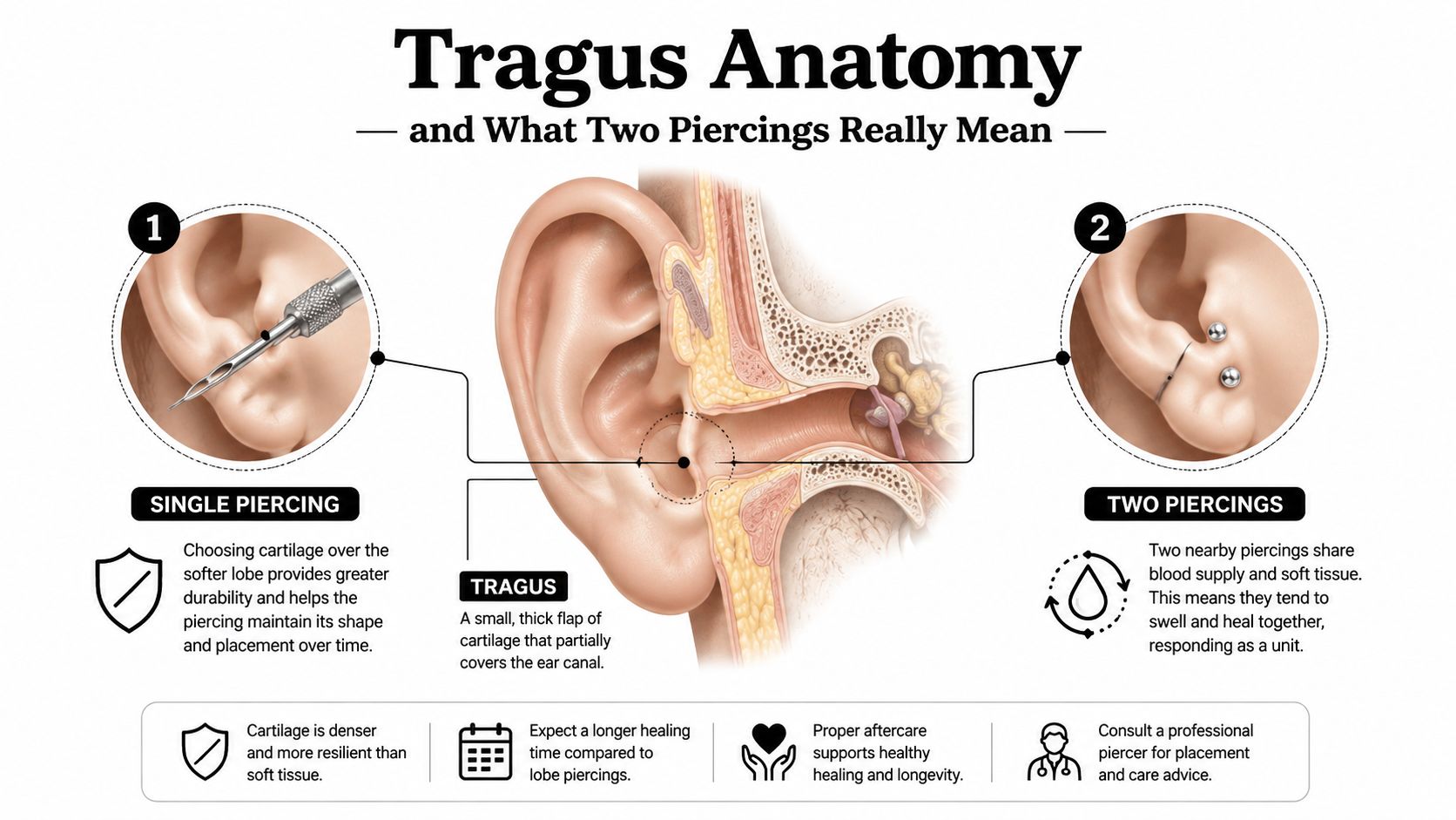 An infographic diagram illustrating the anatomy of the tragus and comparing single versus double ear piercings.