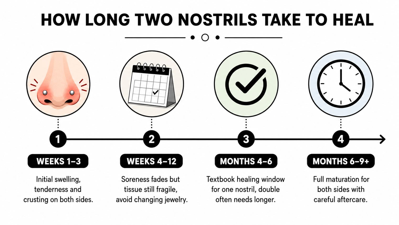 A timeline graphic showing the stages and duration of healing for double nostril nose piercings.