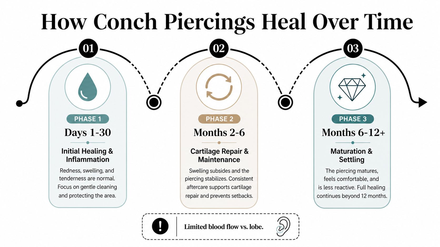 A timeline graphic showing the three healing phases of a conch piercing from inflammation to maturation.