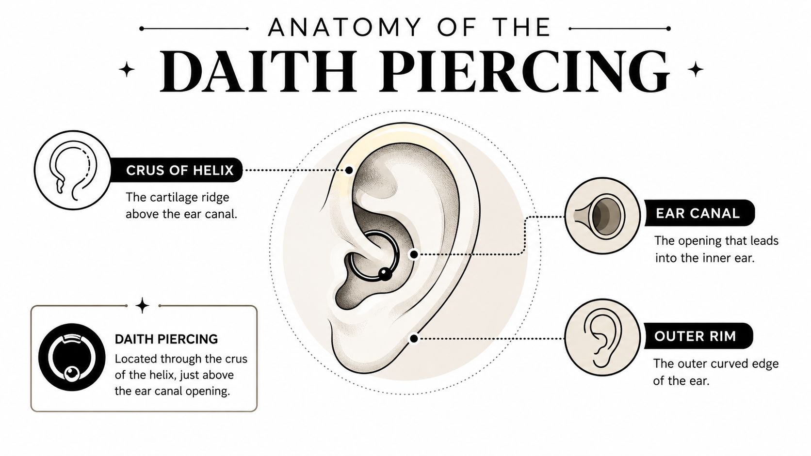 An anatomical diagram of the human ear highlighting the location and structure of a daith piercing.