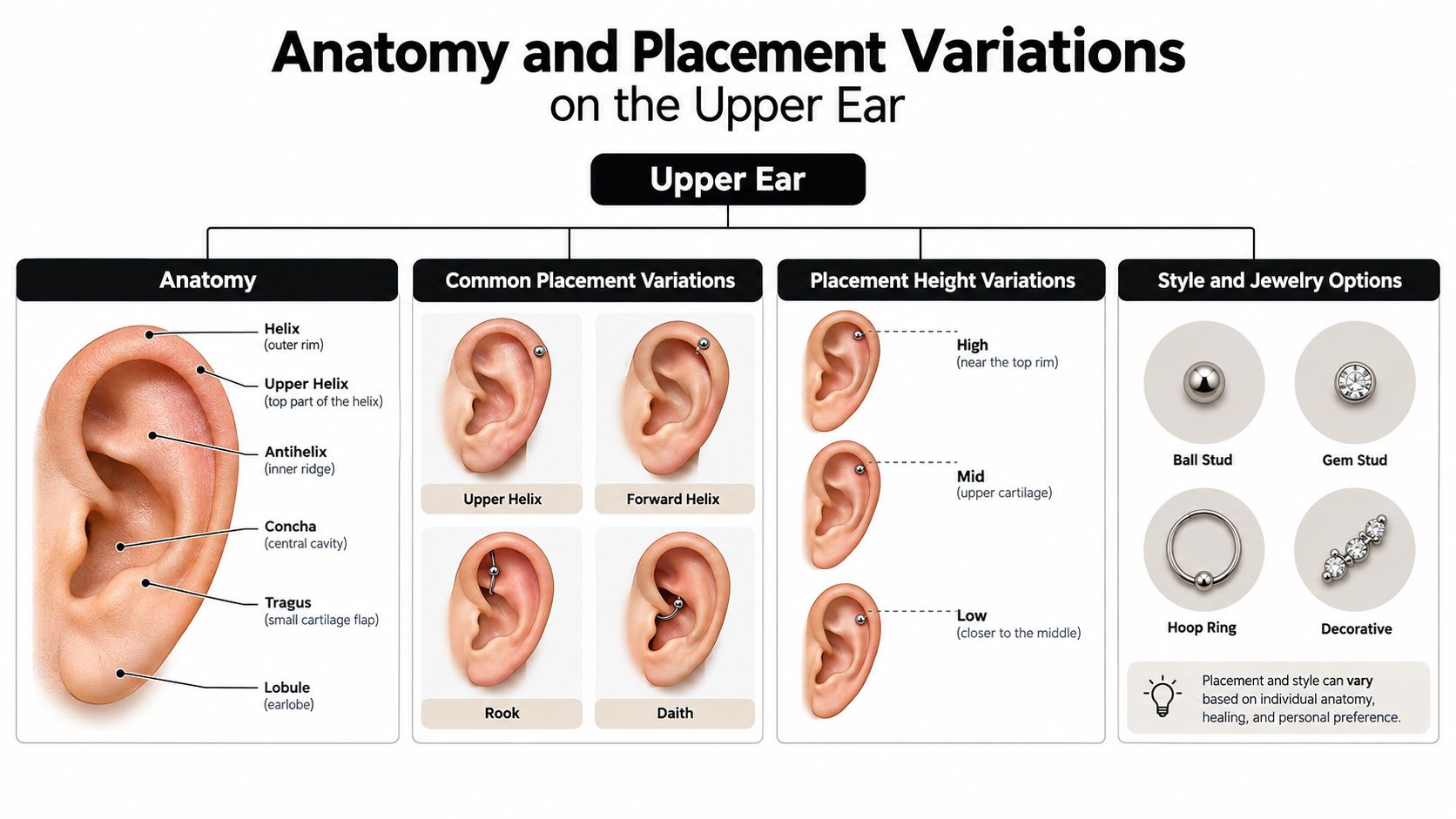 A diagram illustrating ear anatomy, common piercing placement variations, height options, and various types of jewelry.
