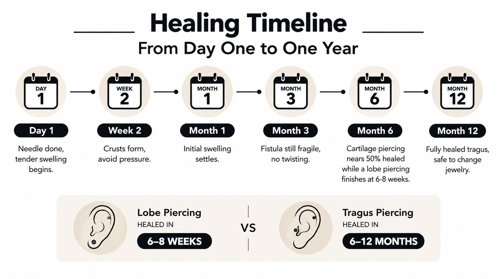 A healing timeline infographic showing the recovery stages for lobe and tragus ear piercings from day one.